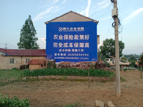 沁阳墙体广告为何受追捧？